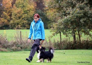 AUTOR: - | TITLE: - | DESCRIPTION: - AUTOR: - | TITLE: - | DESCRIPTION: -