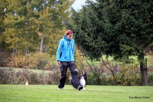 AUTOR: - | TITLE: - | DESCRIPTION: - AUTOR: - | TITLE: - | DESCRIPTION: -