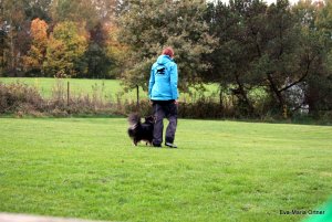 AUTOR: - | TITLE: - | DESCRIPTION: - AUTOR: - | TITLE: - | DESCRIPTION: -