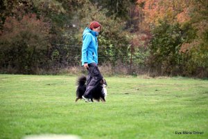 AUTOR: - | TITLE: - | DESCRIPTION: - AUTOR: - | TITLE: - | DESCRIPTION: -