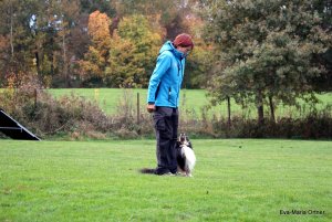 AUTOR: - | TITLE: - | DESCRIPTION: - AUTOR: - | TITLE: - | DESCRIPTION: -