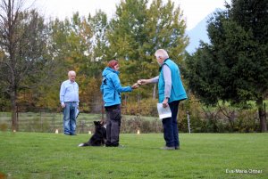 AUTOR: - | TITLE: - | DESCRIPTION: - AUTOR: - | TITLE: - | DESCRIPTION: -