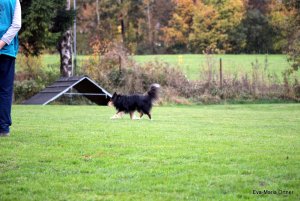 AUTOR: - | TITLE: - | DESCRIPTION: - AUTOR: - | TITLE: - | DESCRIPTION: -