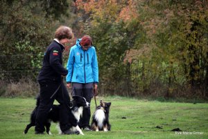 AUTOR: - | TITLE: - | DESCRIPTION: - AUTOR: - | TITLE: - | DESCRIPTION: -