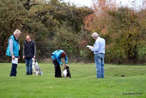 AUTOR: - | TITLE: - | DESCRIPTION: - AUTOR: - | TITLE: - | DESCRIPTION: -