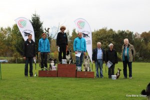 AUTOR: - | TITLE: - | DESCRIPTION: - AUTOR: - | TITLE: - | DESCRIPTION: -