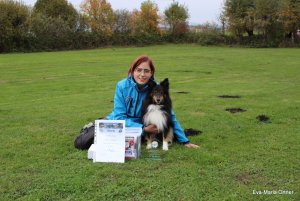 AUTOR: - | TITLE: - | DESCRIPTION: - AUTOR: - | TITLE: - | DESCRIPTION: -