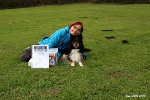 AUTOR: - | TITLE: - | DESCRIPTION: - AUTOR: - | TITLE: - | DESCRIPTION: -