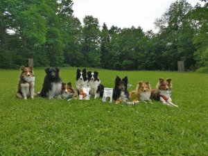 AUTOR: Gerald Ortner | TITLE: - | DESCRIPTION: v.l.: Fly, Havanna , Indi, Coco, Janis, Buzz, Darina, Tox