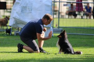 AUTOR: - | TITLE: - | DESCRIPTION: - AUTOR: - | TITLE: - | DESCRIPTION: -