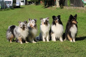 AUTOR: - | TITLE: - | DESCRIPTION: - AUTOR: - | TITLE: - | DESCRIPTION: -