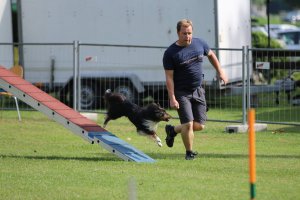 AUTOR: - | TITLE: - | DESCRIPTION: - AUTOR: - | TITLE: - | DESCRIPTION: -