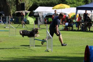 AUTOR: - | TITLE: - | DESCRIPTION: - AUTOR: - | TITLE: - | DESCRIPTION: -