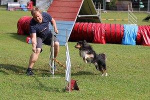 AUTOR: - | TITLE: - | DESCRIPTION: - AUTOR: - | TITLE: - | DESCRIPTION: -