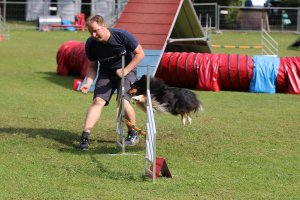 AUTOR: - | TITLE: - | DESCRIPTION: - AUTOR: - | TITLE: - | DESCRIPTION: -