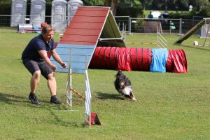 AUTOR: - | TITLE: - | DESCRIPTION: - AUTOR: - | TITLE: - | DESCRIPTION: -