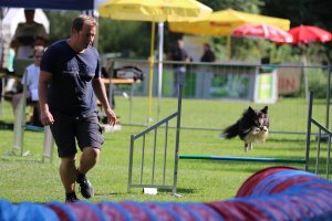 AUTOR: - | TITLE: - | DESCRIPTION: - AUTOR: - | TITLE: - | DESCRIPTION: -