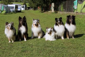 AUTOR: - | TITLE: - | DESCRIPTION: - AUTOR: - | TITLE: - | DESCRIPTION: -