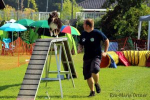 AUTOR: - | TITLE: - | DESCRIPTION: - AUTOR: - | TITLE: - | DESCRIPTION: -