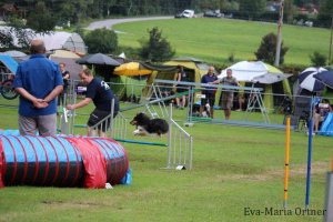 AUTOR: - | TITLE: - | DESCRIPTION: - AUTOR: - | TITLE: - | DESCRIPTION: -