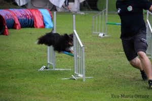 AUTOR: - | TITLE: - | DESCRIPTION: - AUTOR: - | TITLE: - | DESCRIPTION: -